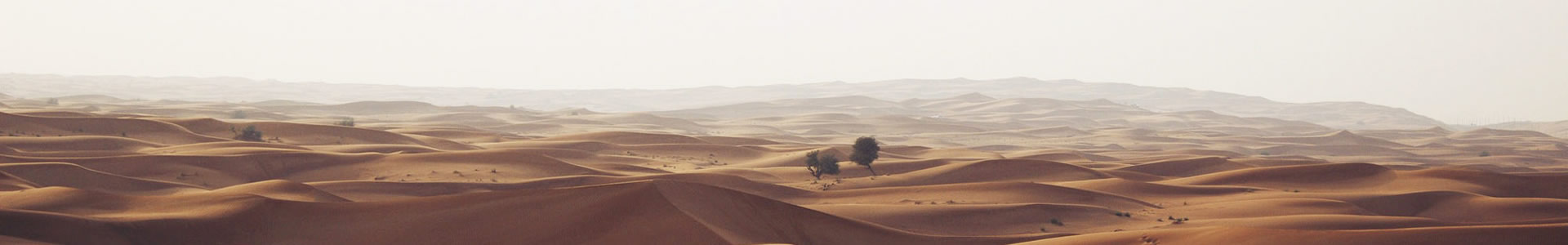 ɽɶƼ޹˾